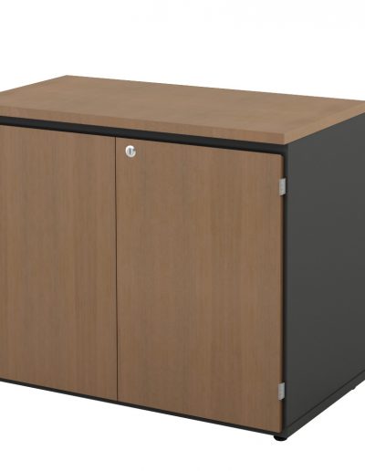 Armário Corporativo